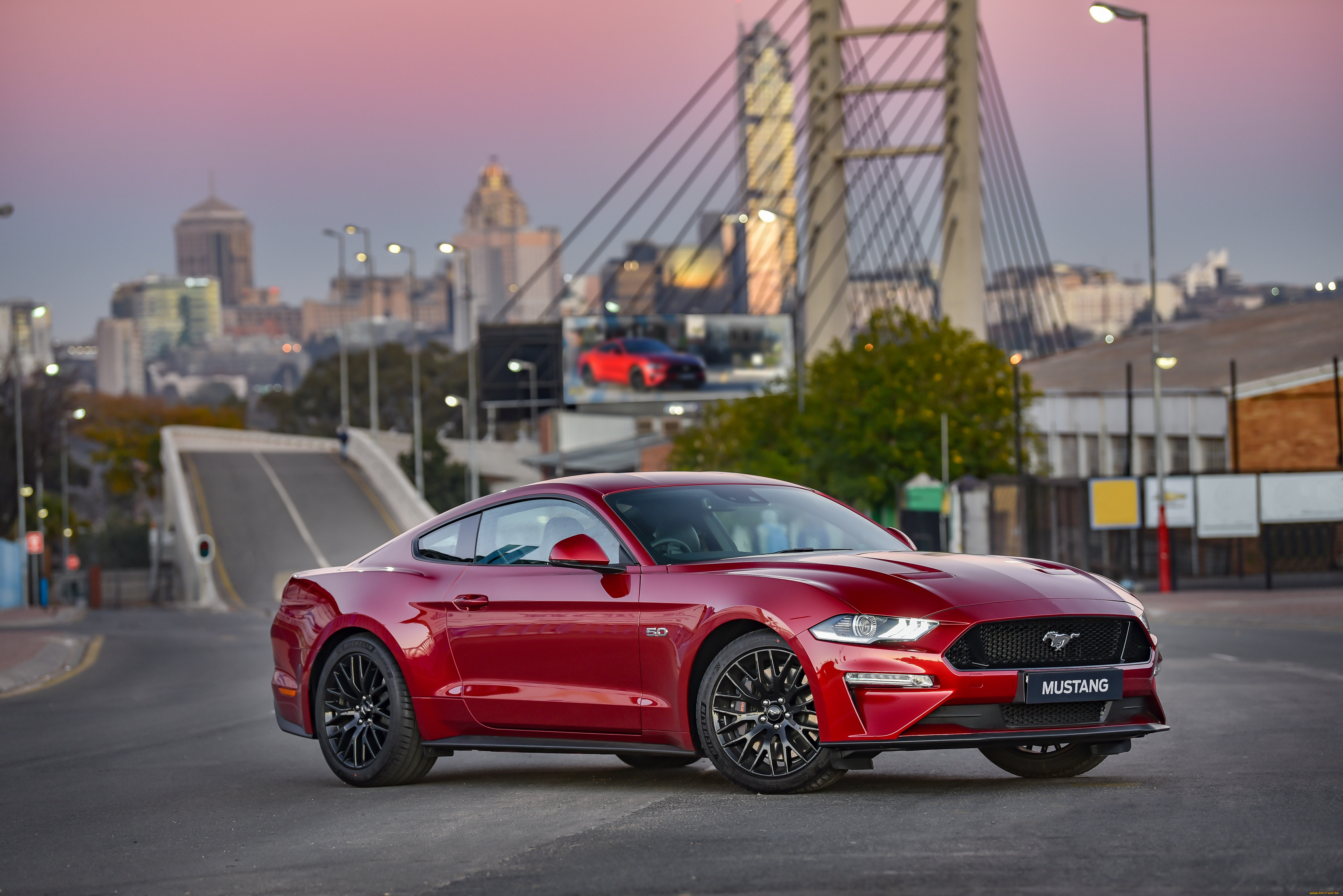 , mustang